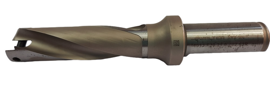 WALTER B4013.F20.21,0.Z02.63R fi21.0 3D