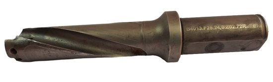 WALTER B4013.F25.24,0.Z02.72R fi24.0 3D