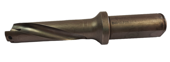 WALTER B4013.F25.22,0.Z02.66R fi22.0 3D