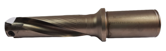 WALTER B4013.F40.34,0.Z02.102R fi34.0 3D