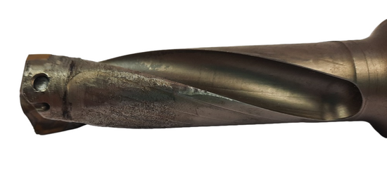 WALTER B4013.F25.23,0.Z02.69R fi23.0 3D