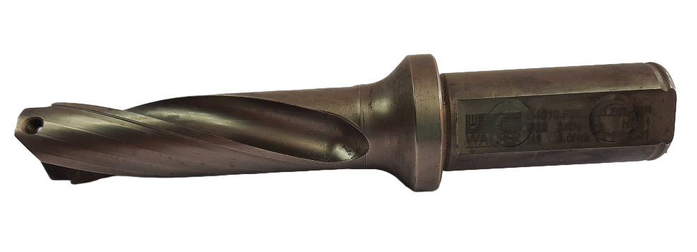 WALTER B4013.F25.22,0.Z02.66R fi22.0 3D