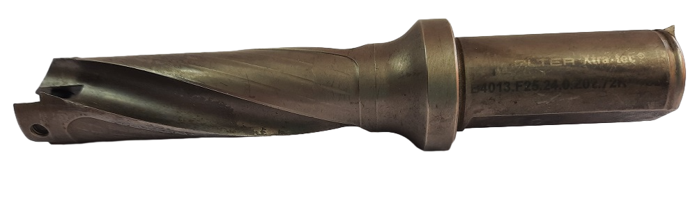 WALTER B4013.F25.24,0.Z02.72R fi24.0 3D