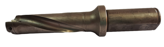 WALTER B4013.F25.23,0.Z02.69R fi23.0 3D