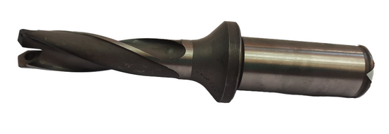 WALTER B4013.F20.15,0.Z02.45R fi15.0 3D