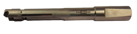 GUHRING C-302574767-05/22,6 fi22.0 3D