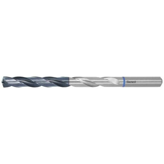GARANT 123110 9