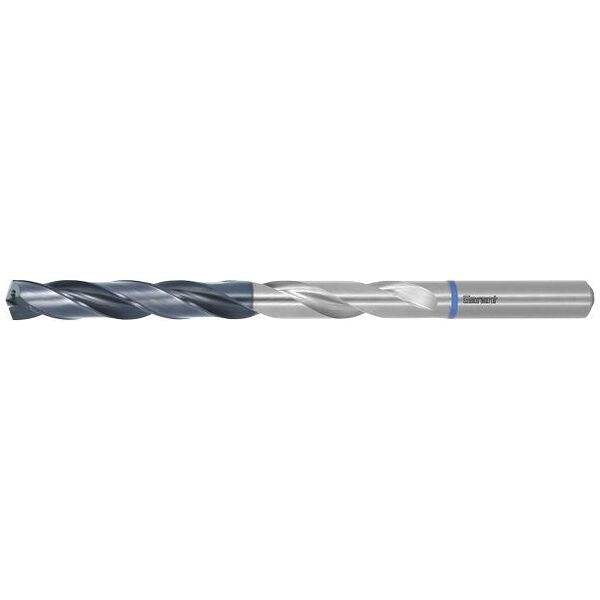 GARANT 123110 9